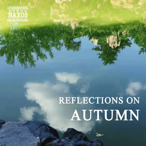 国产操丝袜大奶妹
